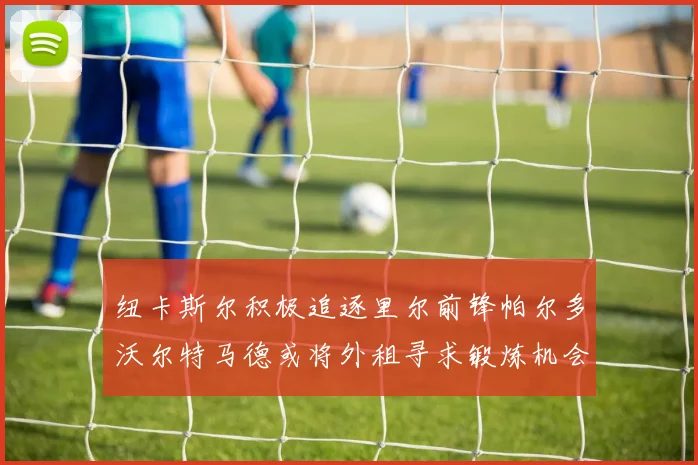 纽卡斯尔积极追逐里尔前锋帕尔多沃尔特马德或将外租寻求锻炼机会
